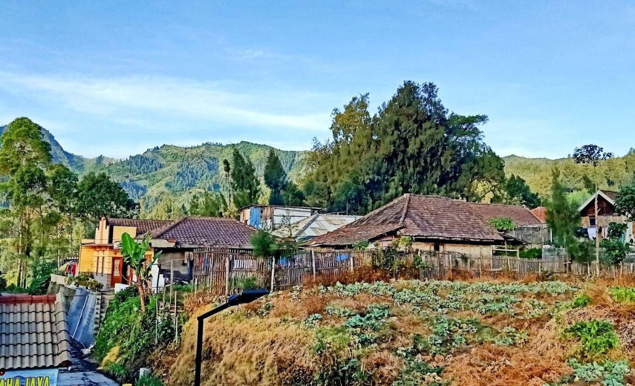 Homestay Anggun โบรโม ภายนอก รูปภาพ